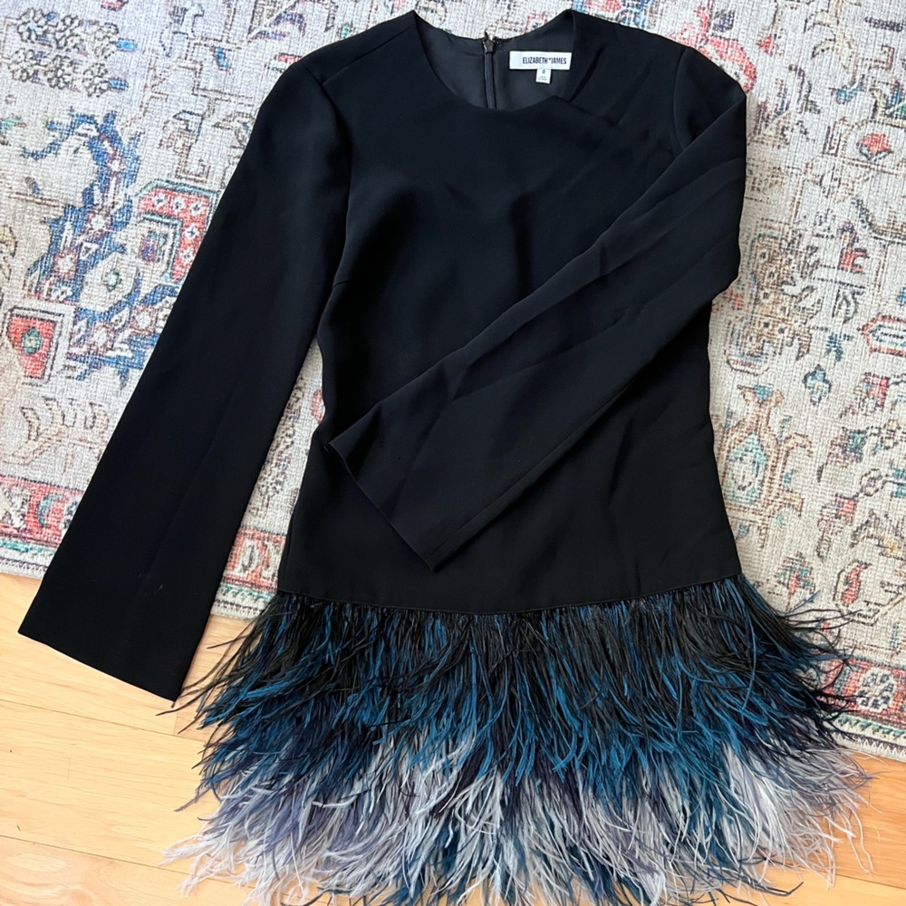 Elizabeth and James feather dress